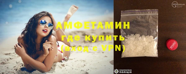 стафф Алзамай