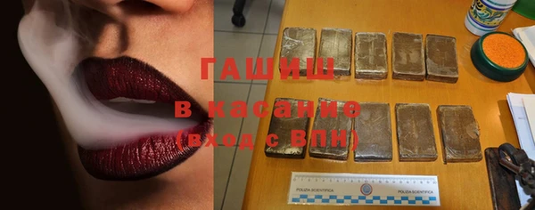 стафф Алзамай