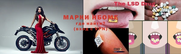 стафф Алзамай