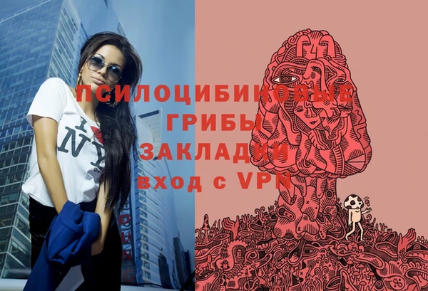 стафф Алзамай