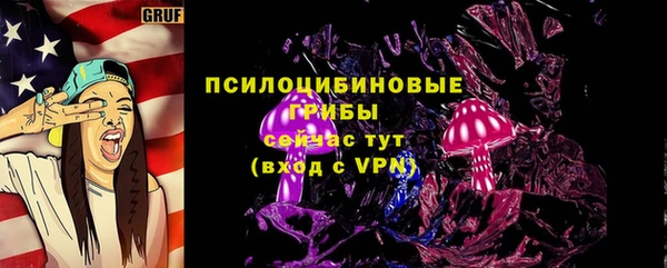 дмт Алексин