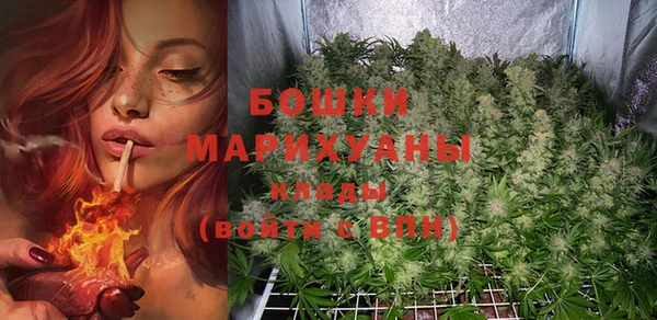 MESCALINE Гусь-Хрустальный
