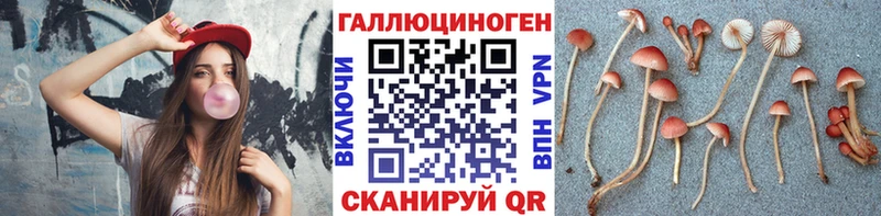 Галлюциногенные грибы Cubensis  Междуреченск 